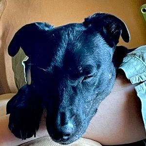 Meet your Posher, Drew